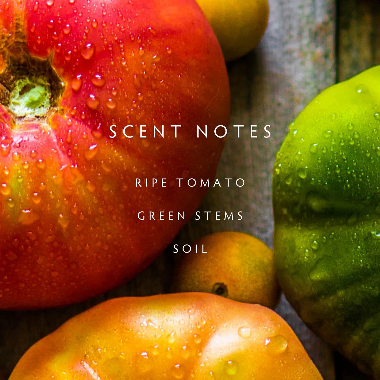 Candle - Botanik Heirloom Tomato