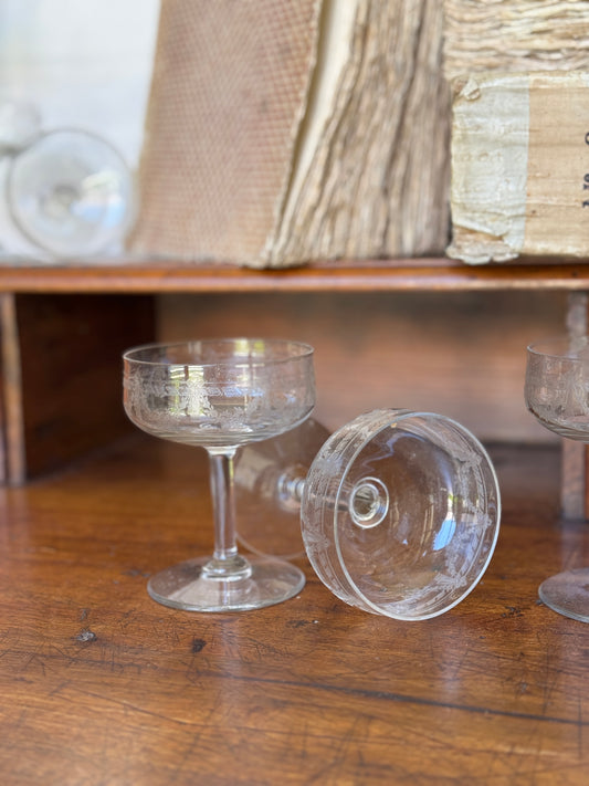 Antique French Coupe Glasses found in France (set of 11)