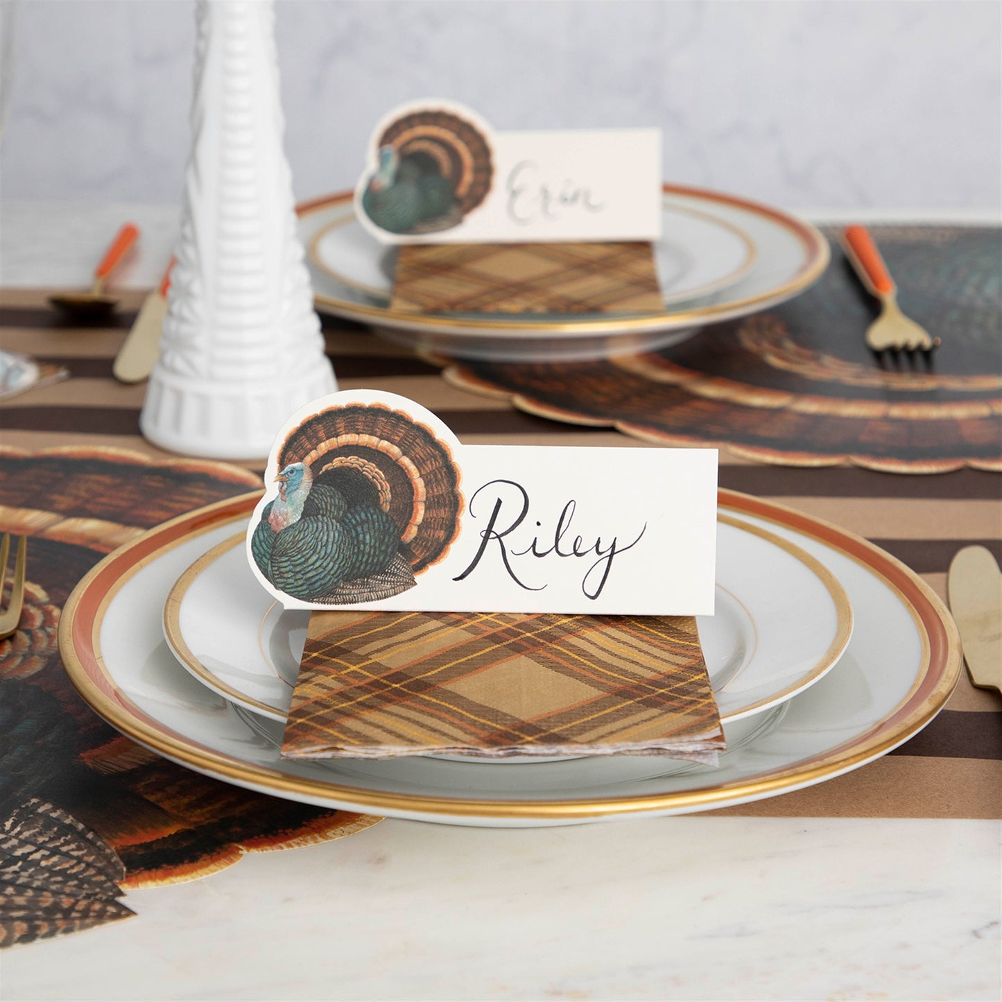 Place Cards - Heritage Turkey (pack of 12)