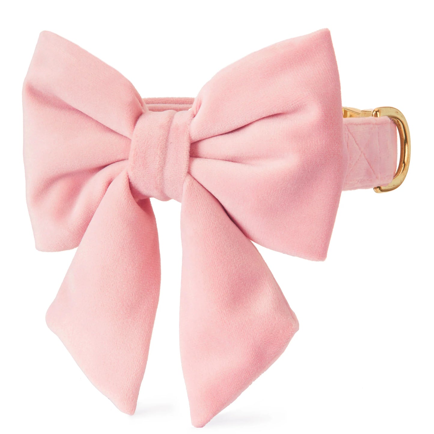 Blush Pink Velvet - Lady Bow