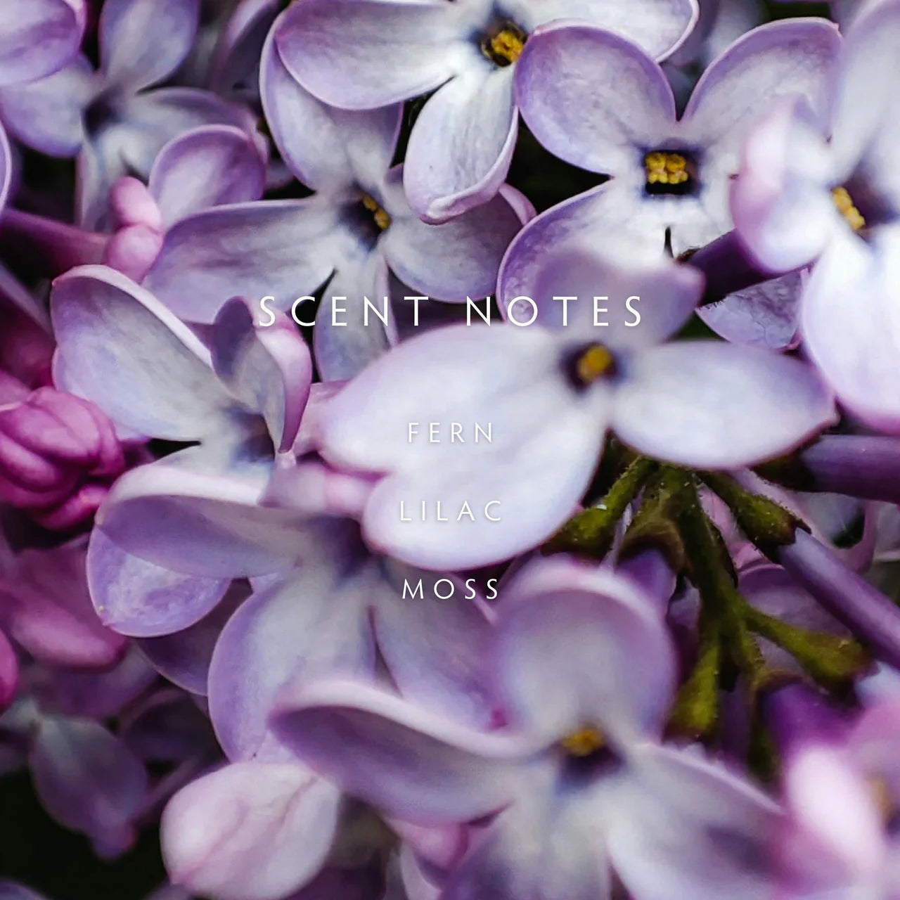 Candle - Spring Lilac