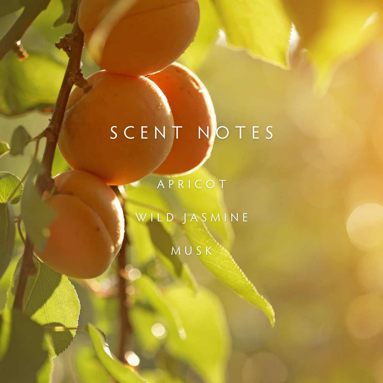 Candle - Spring Nectar