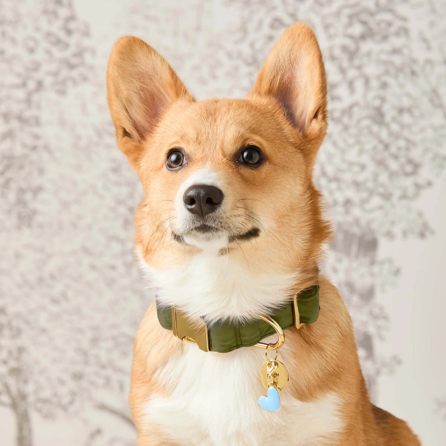 Olive Velvet Collar