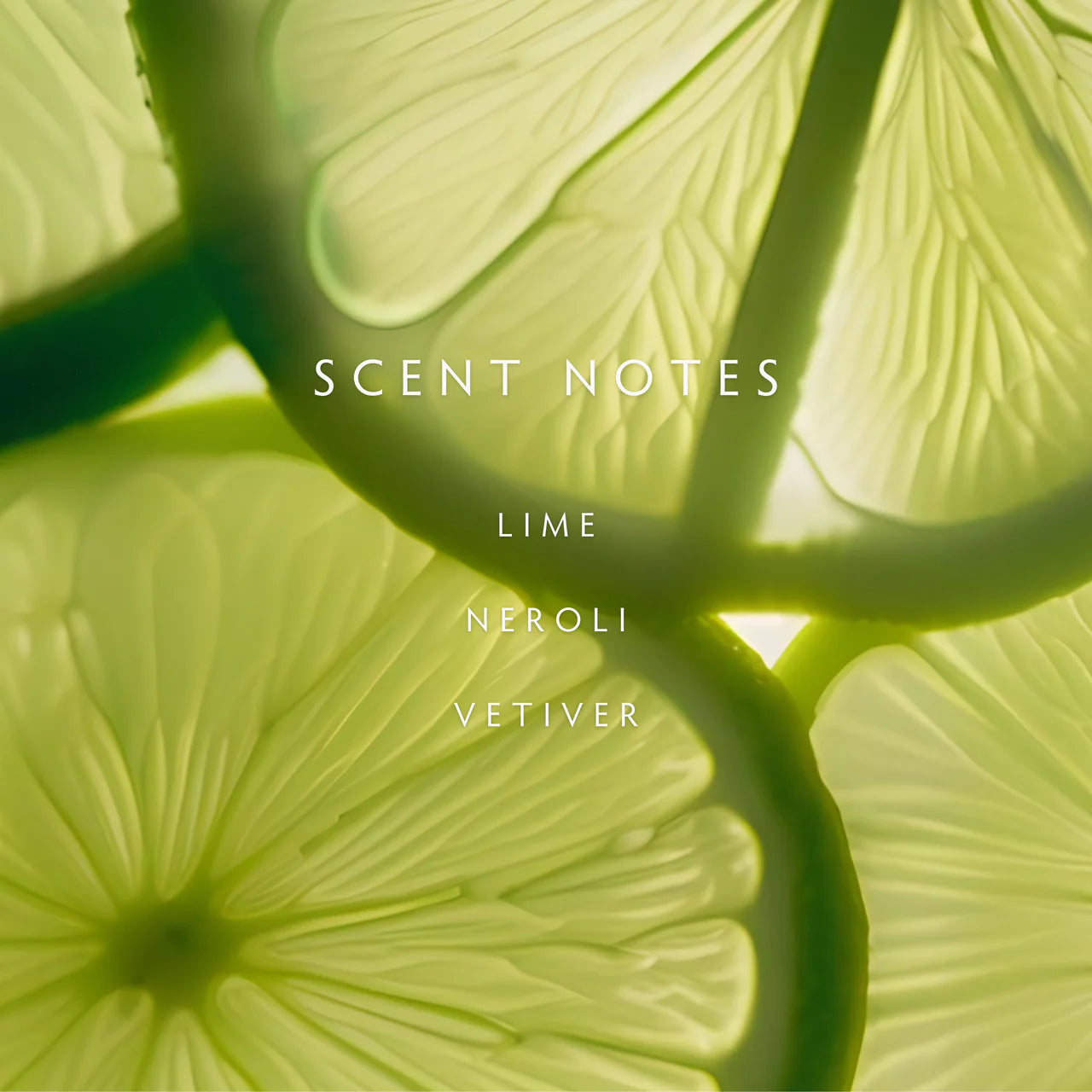 Candle - Classic Persian Lime