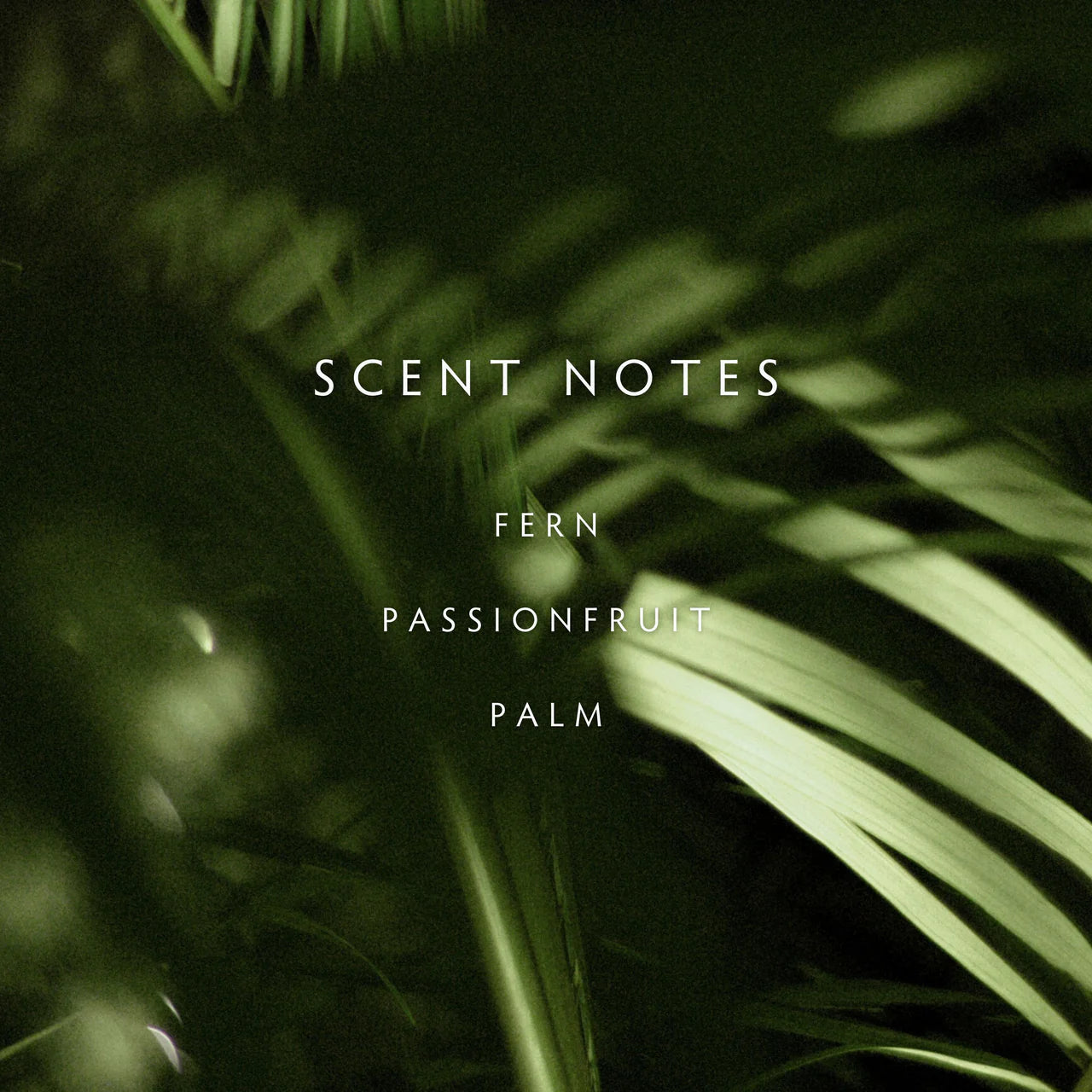 Candle - Escape Rainforest Palms