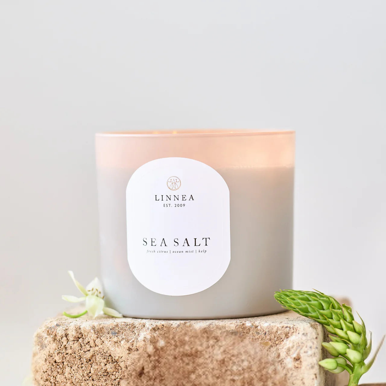 Candle - Classic Sea Salt 3-wick