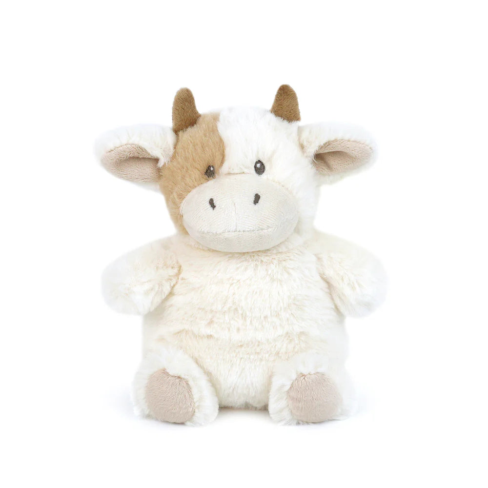 Mocha the Petit Cow