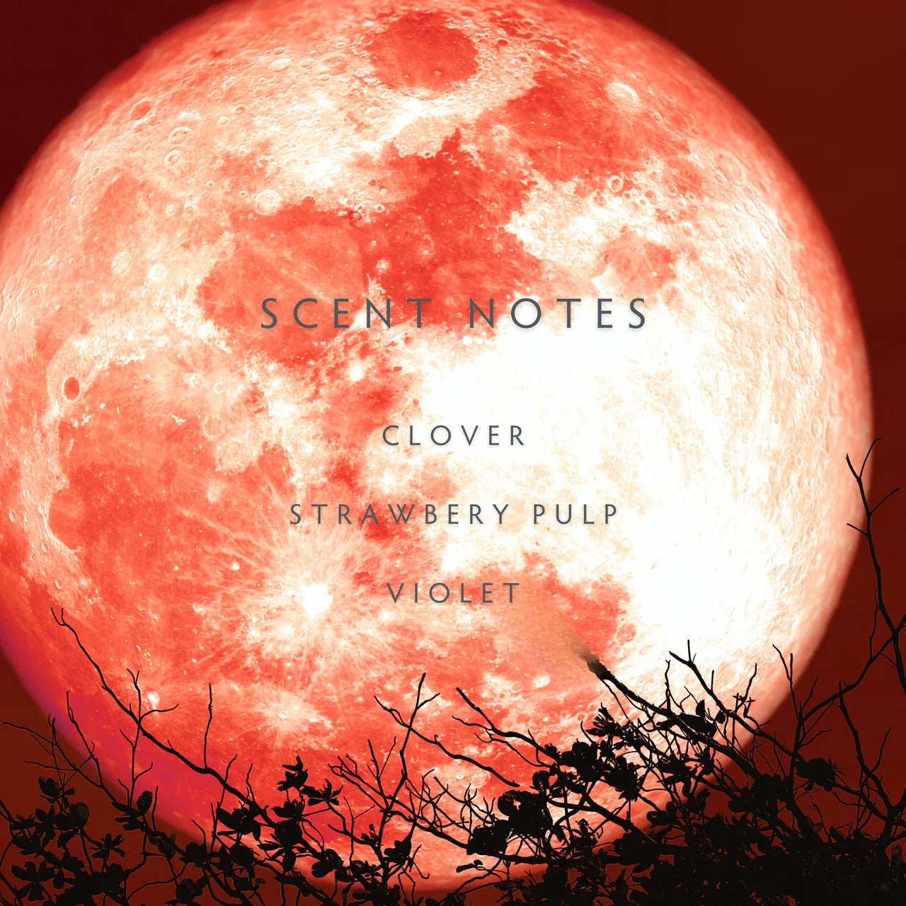 Candle - Botanik Strawberry Moon