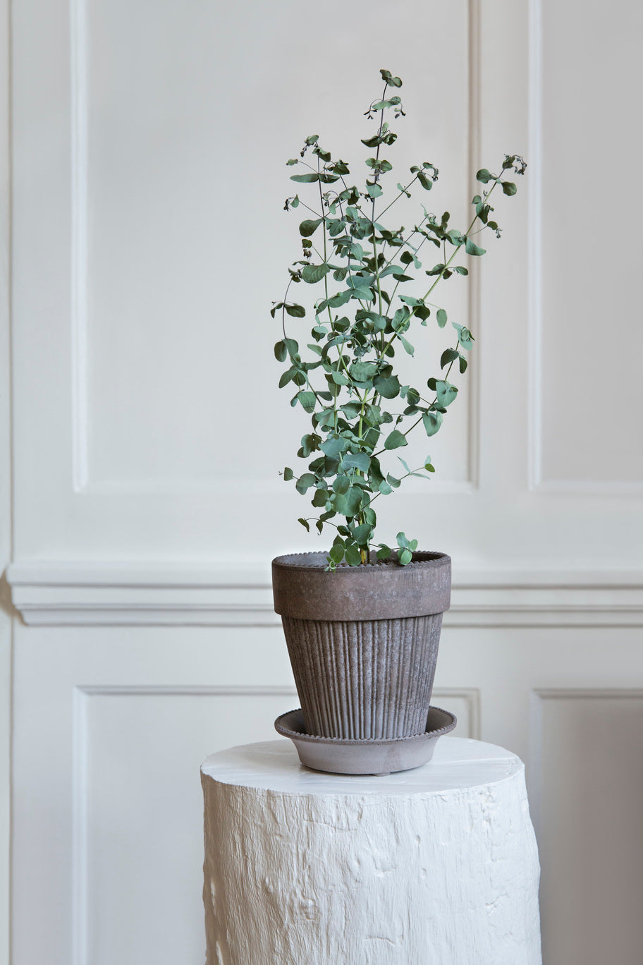 Garden Pot Simona - Grey