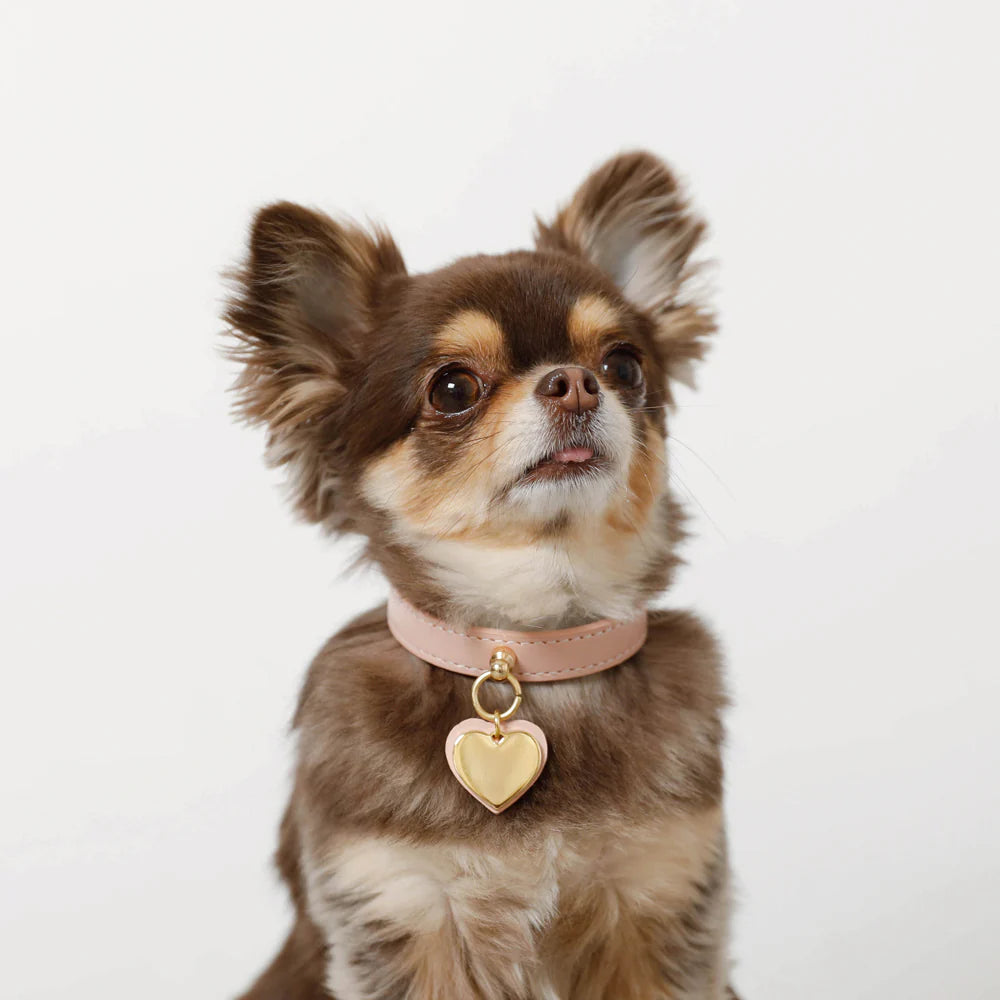 Leather Dog Collar - Pink with Heart Charm