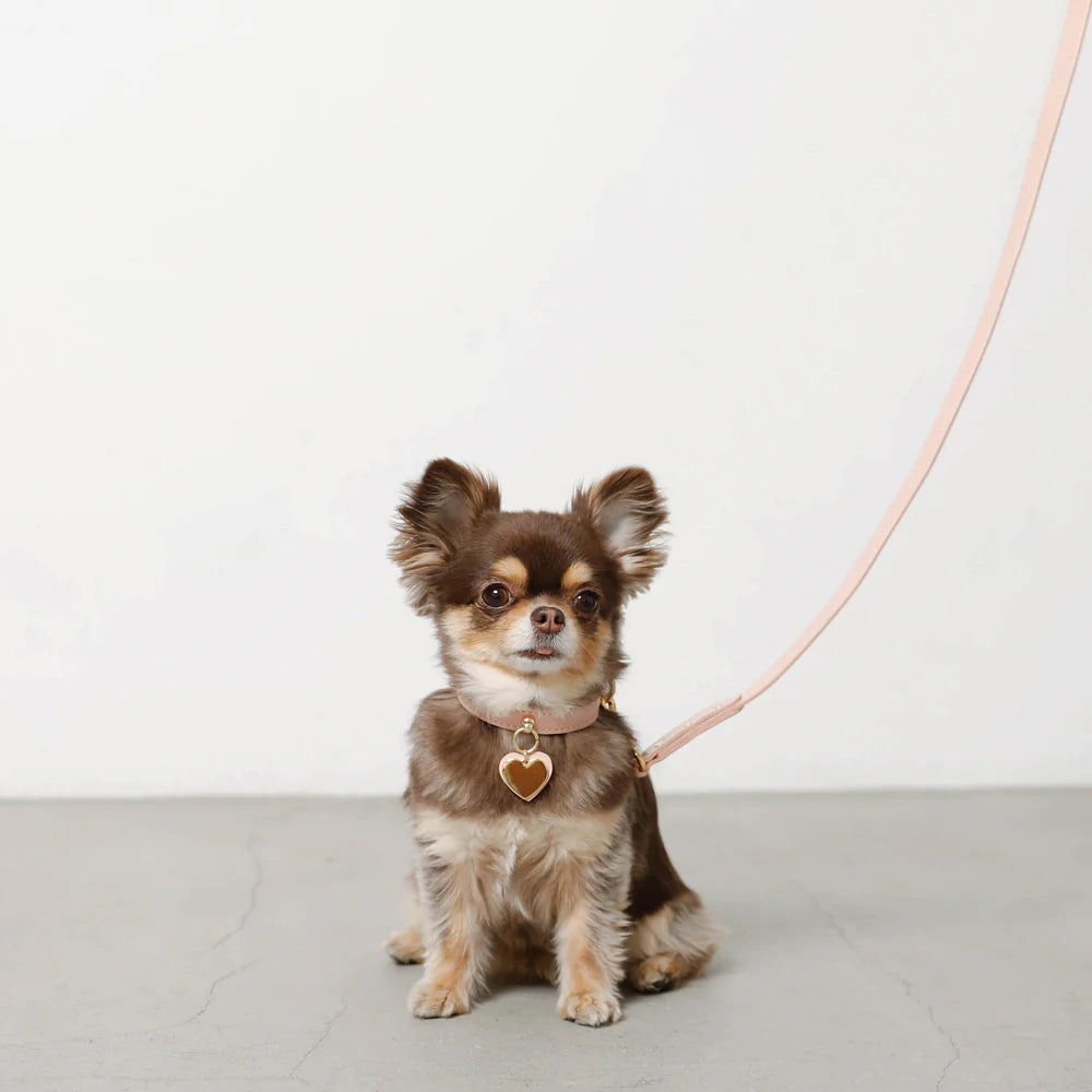 Leather Dog Lead - Pink