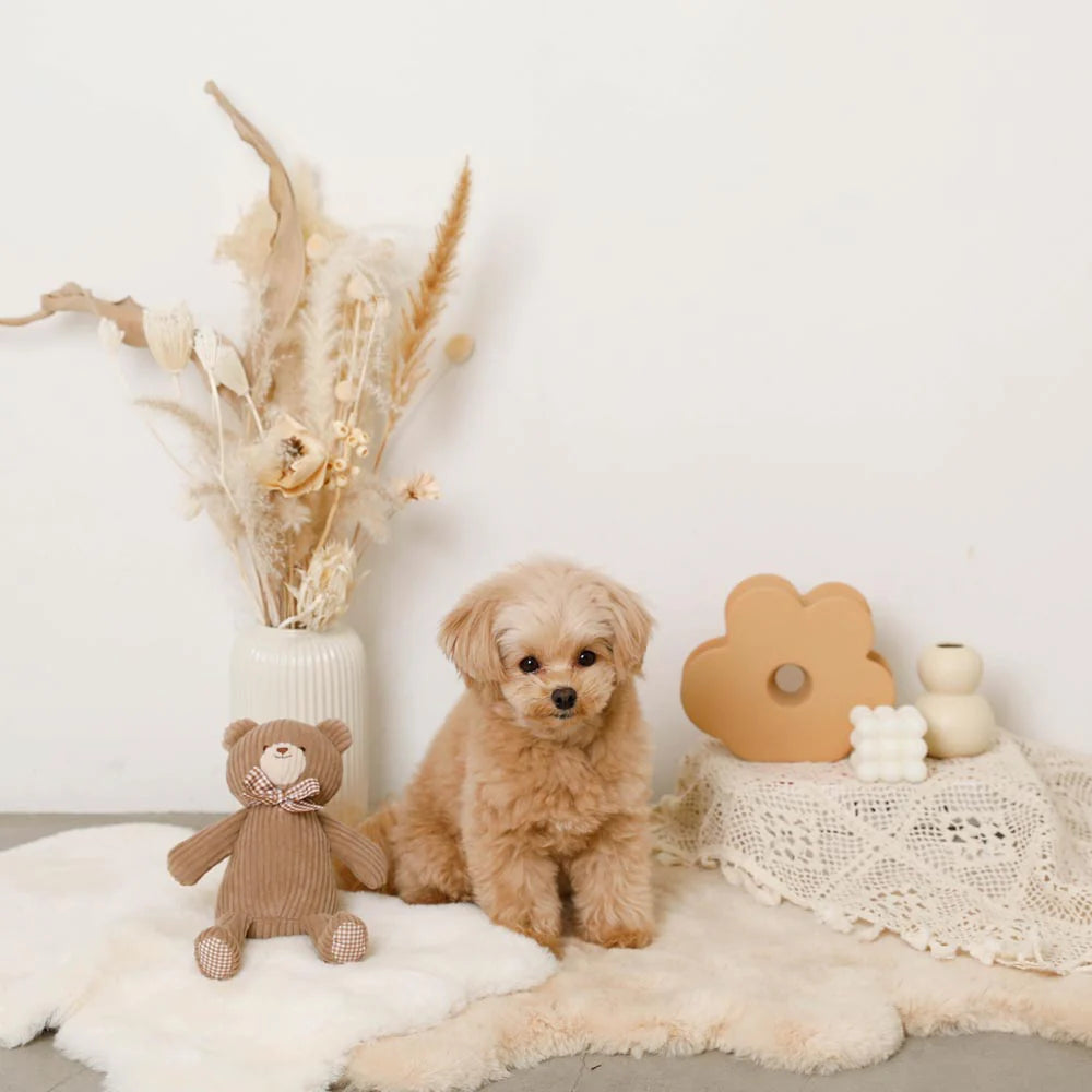 Dog Toy - Corduroy Bear