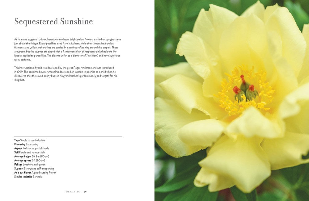 Book - Peonies