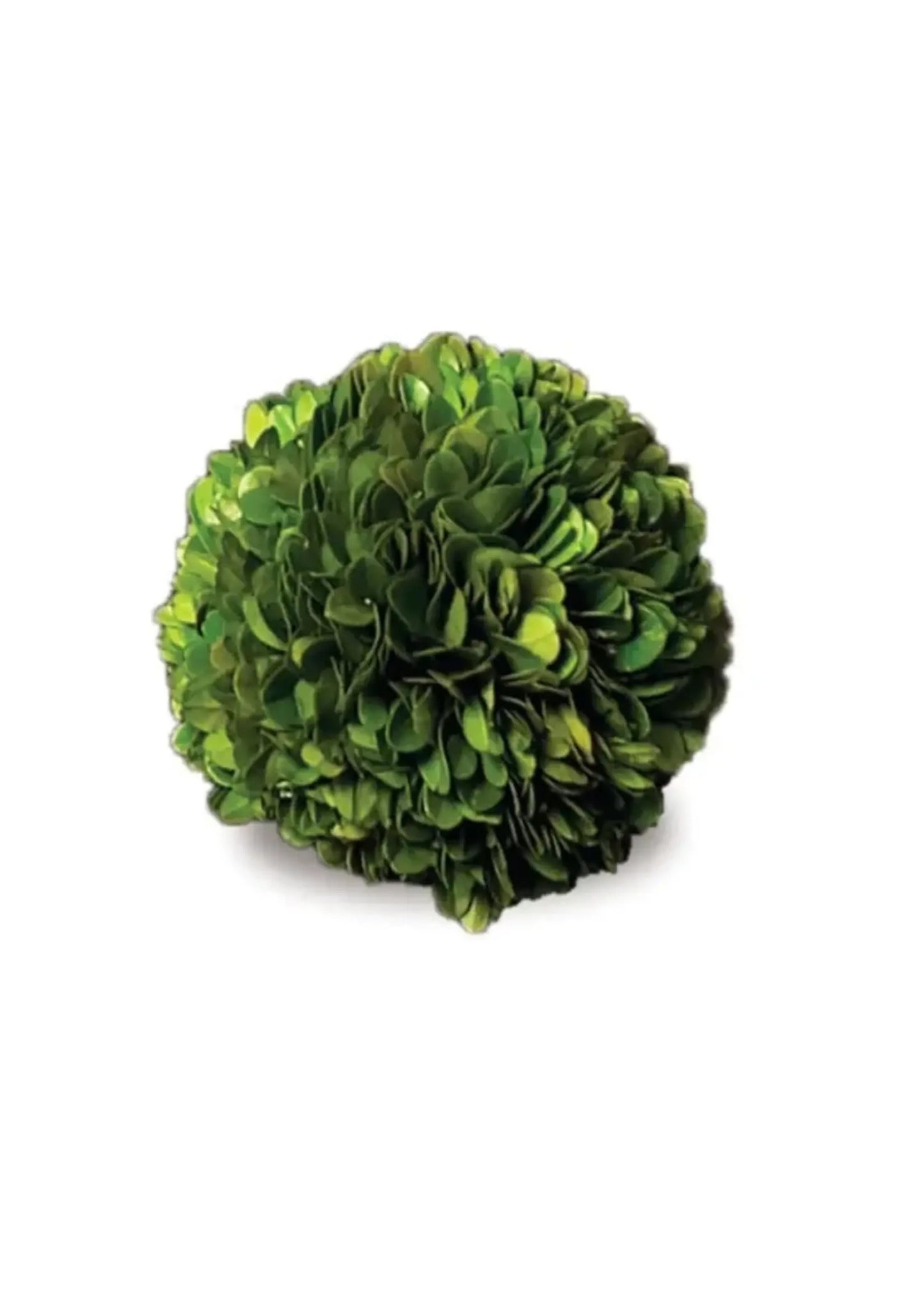 Boxwood Topiary - Preserved Ball 4"