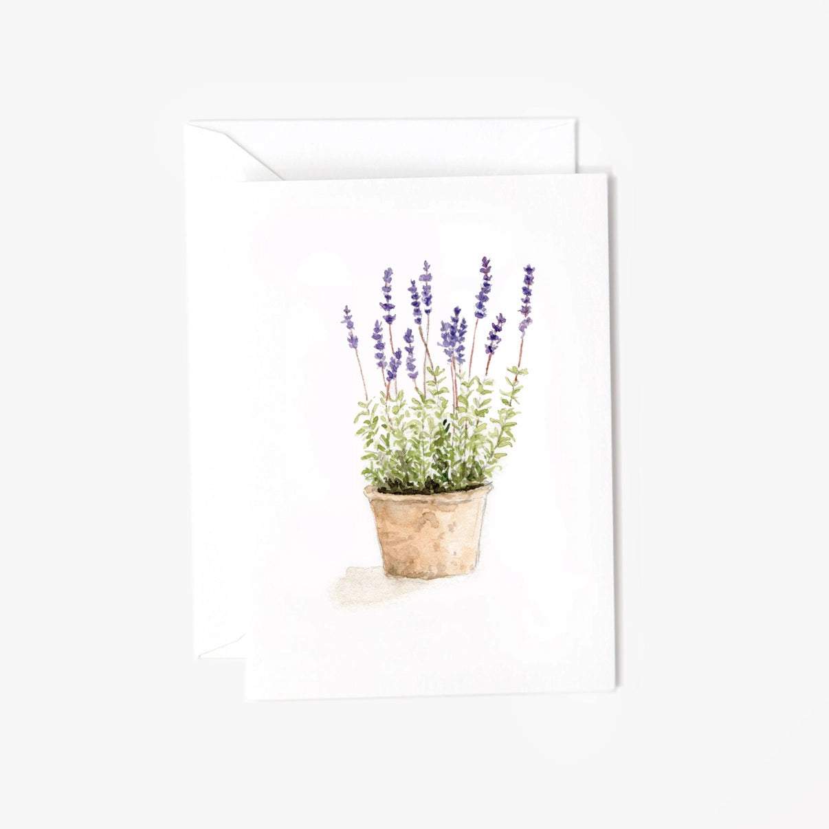 Card Mini - Lavender