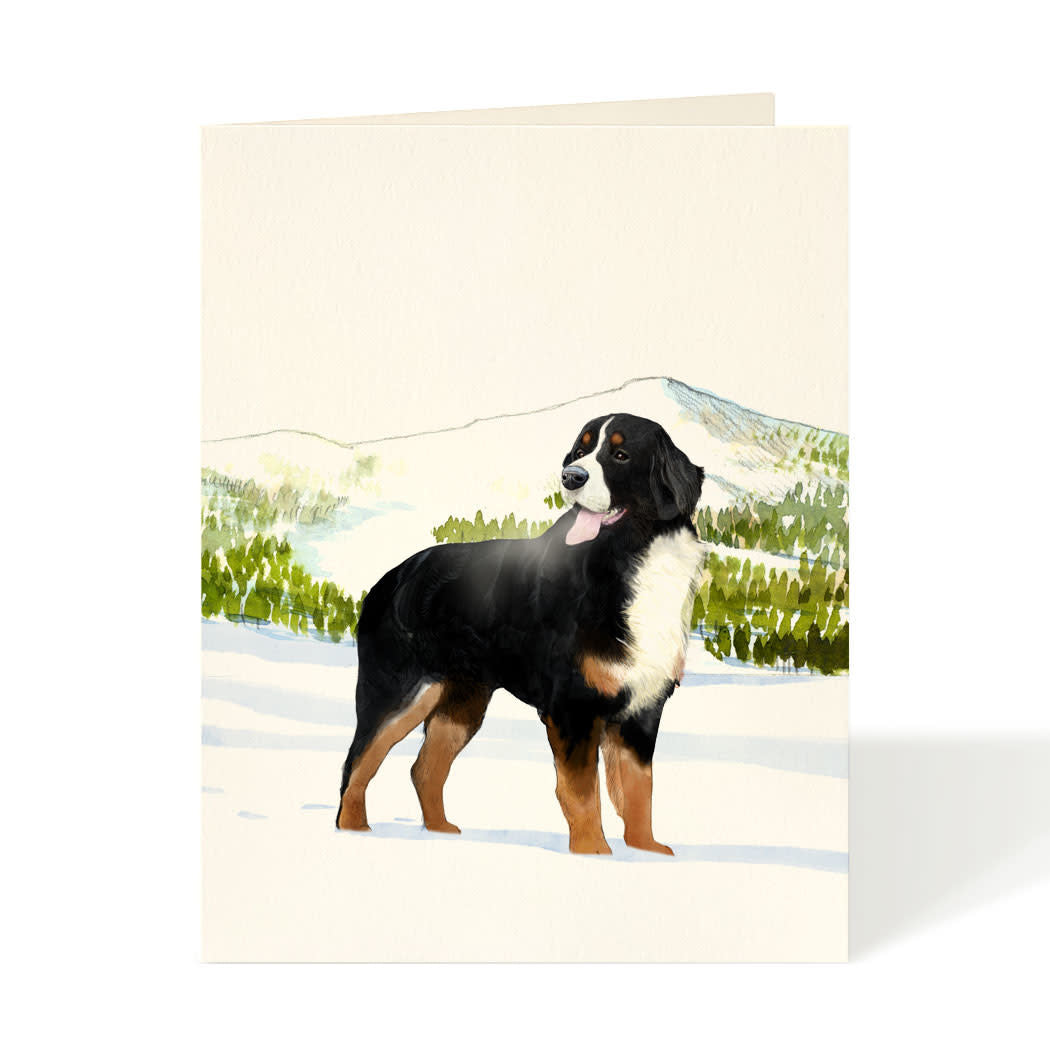 Card - Dog - Bernese Mountain Dog