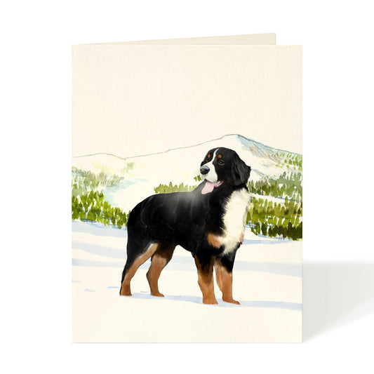 Card - Dog - Bernese Mountain Dog