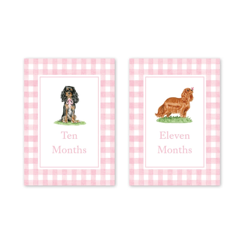 Card Milestone Set - Cavelier Garden Pink