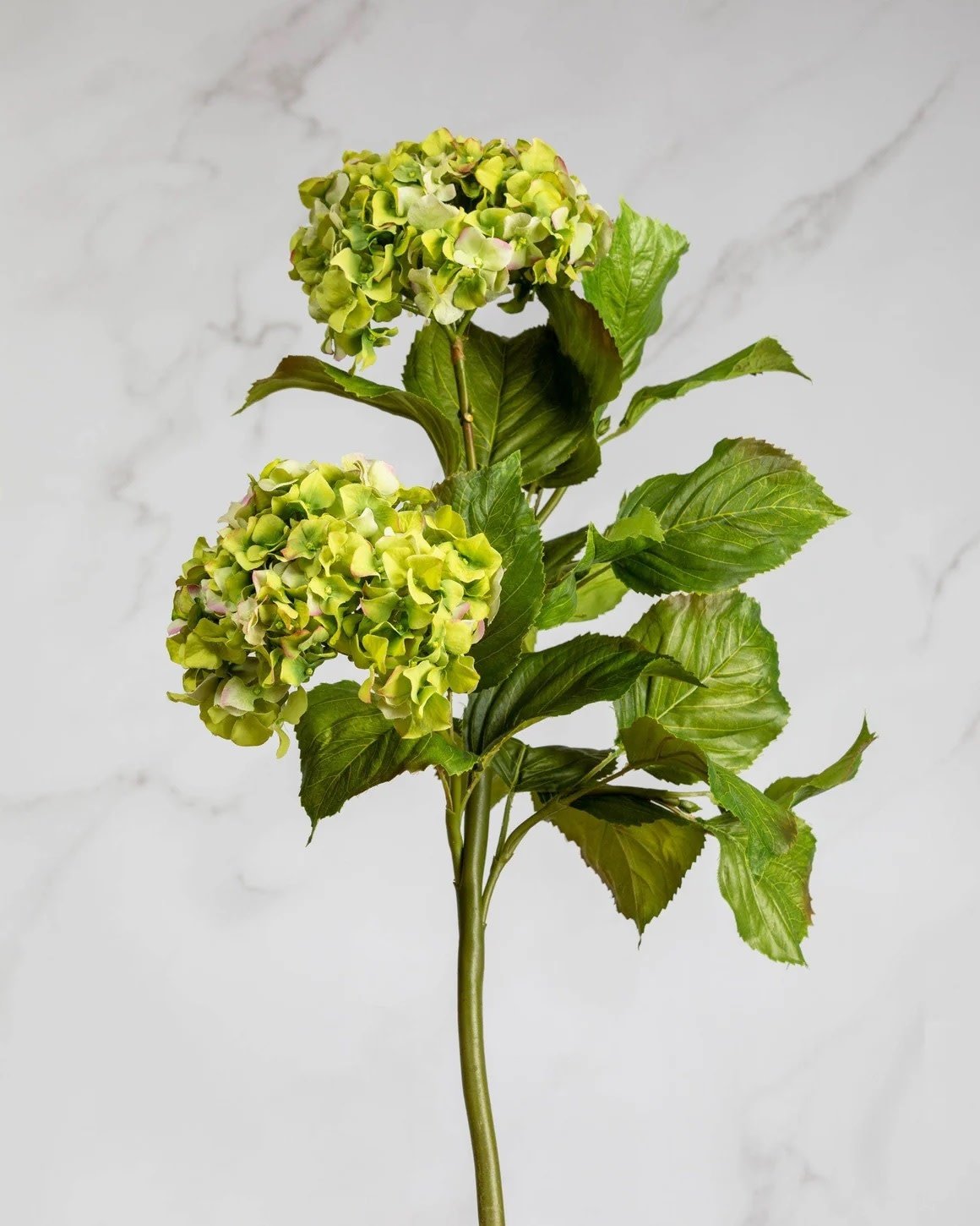 Floral Stem - Hydrangea Double - Green 36"