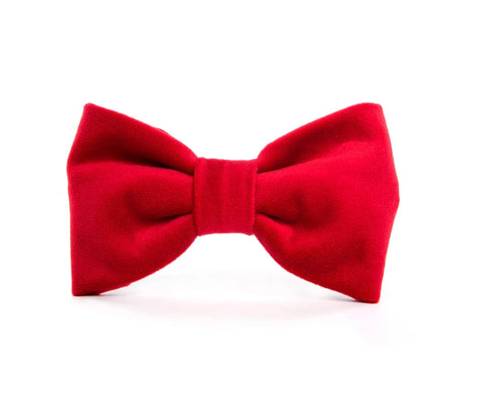 Cranberry Velvet - Bow Tie
