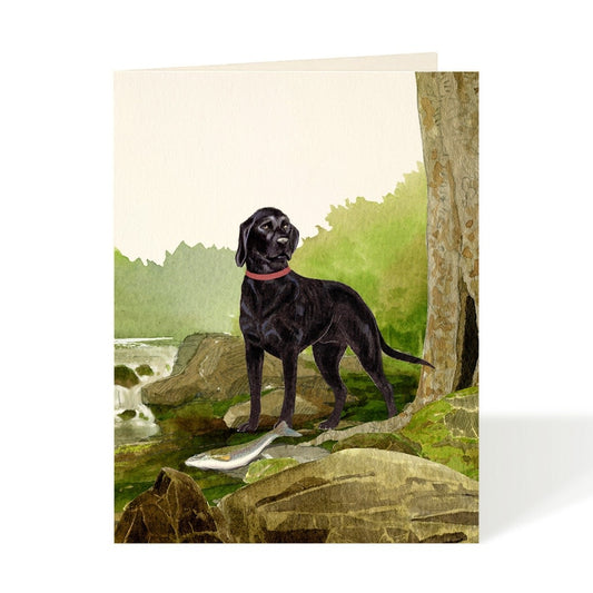 Card - Dog - By the Stream