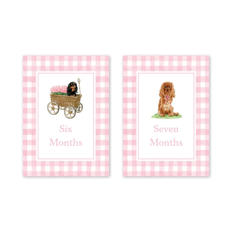 Card Milestone Set - Cavelier Garden Pink