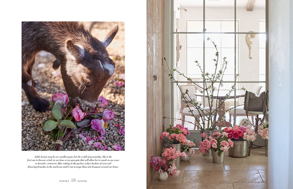 Book - Patina Living