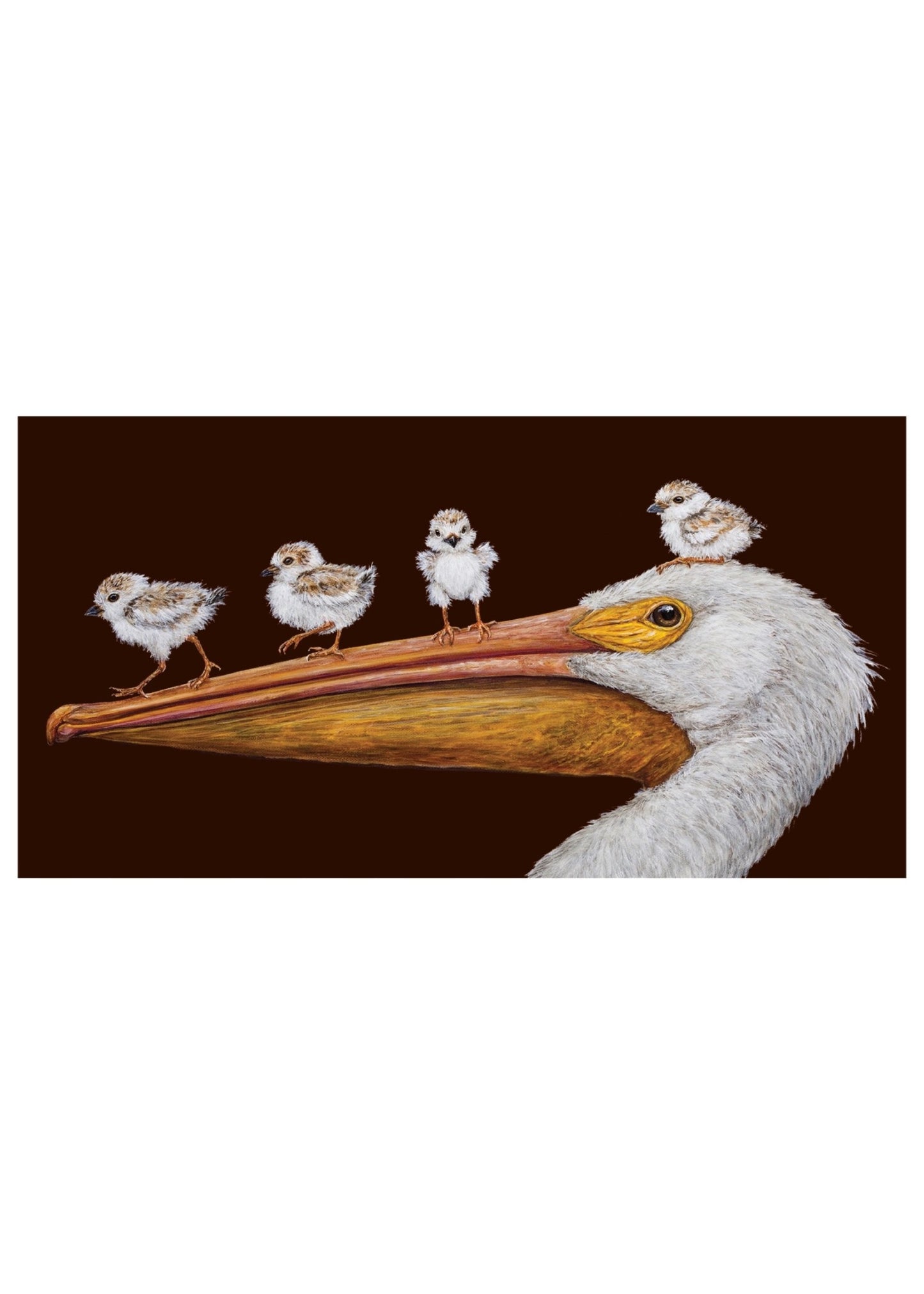 Card - Everyday - Flight School