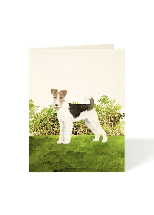 Card - Dog - Fox Terrier