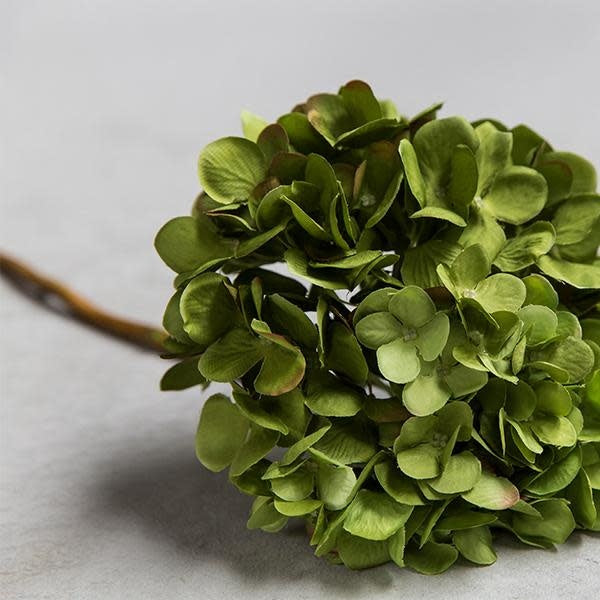 Floral Stem - Hydrangea Green 17"