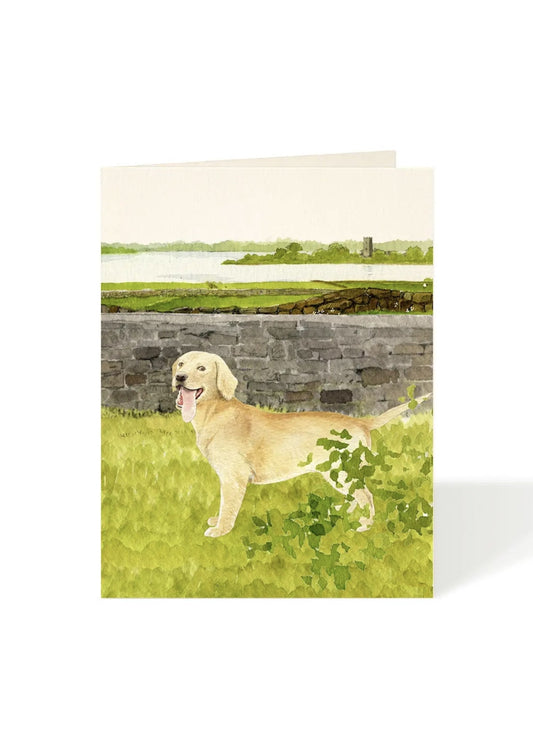 Card - Dog - Golden Retriever