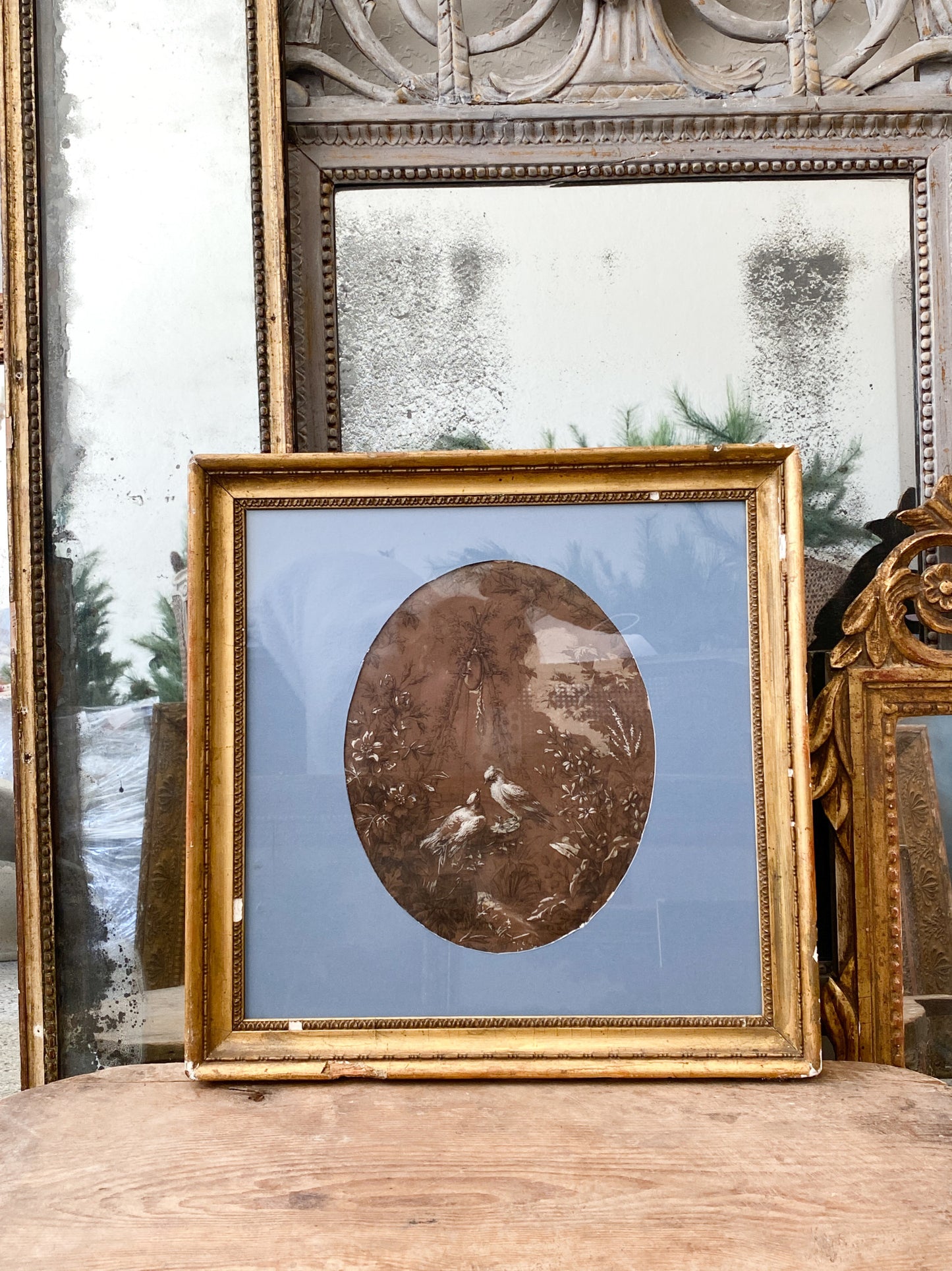 Antique French 19th Century Love Bird Gauche