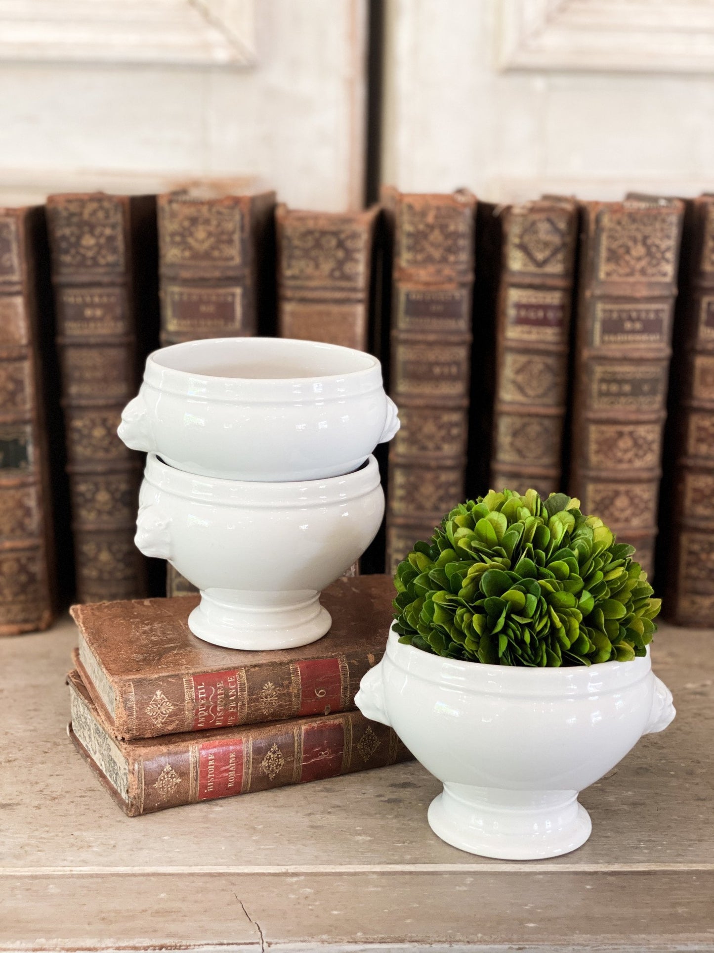 Vintage French Lion Bowl - Medium
