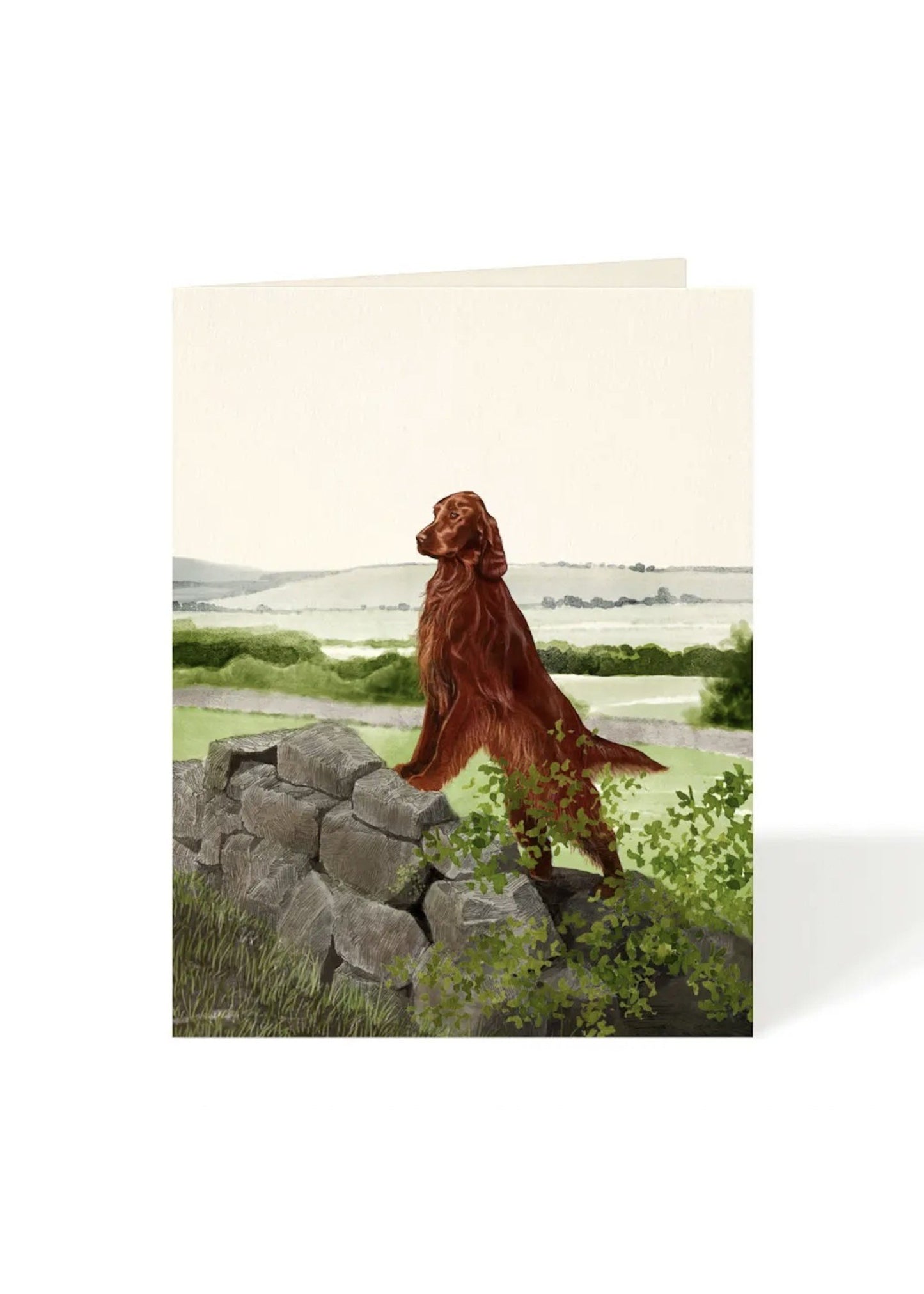 Card - Dog - Irish Setter