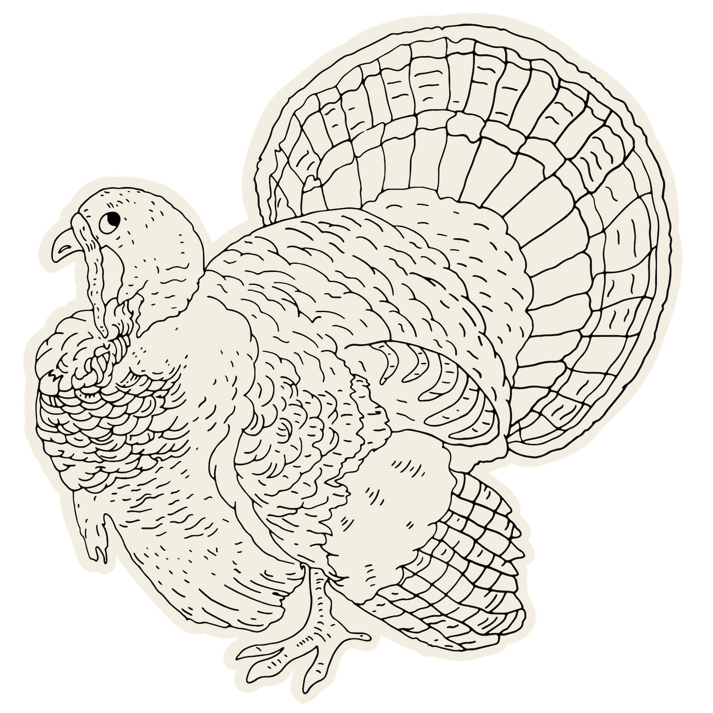 Paper Placemats - Coloring Turkey (12 sheets)