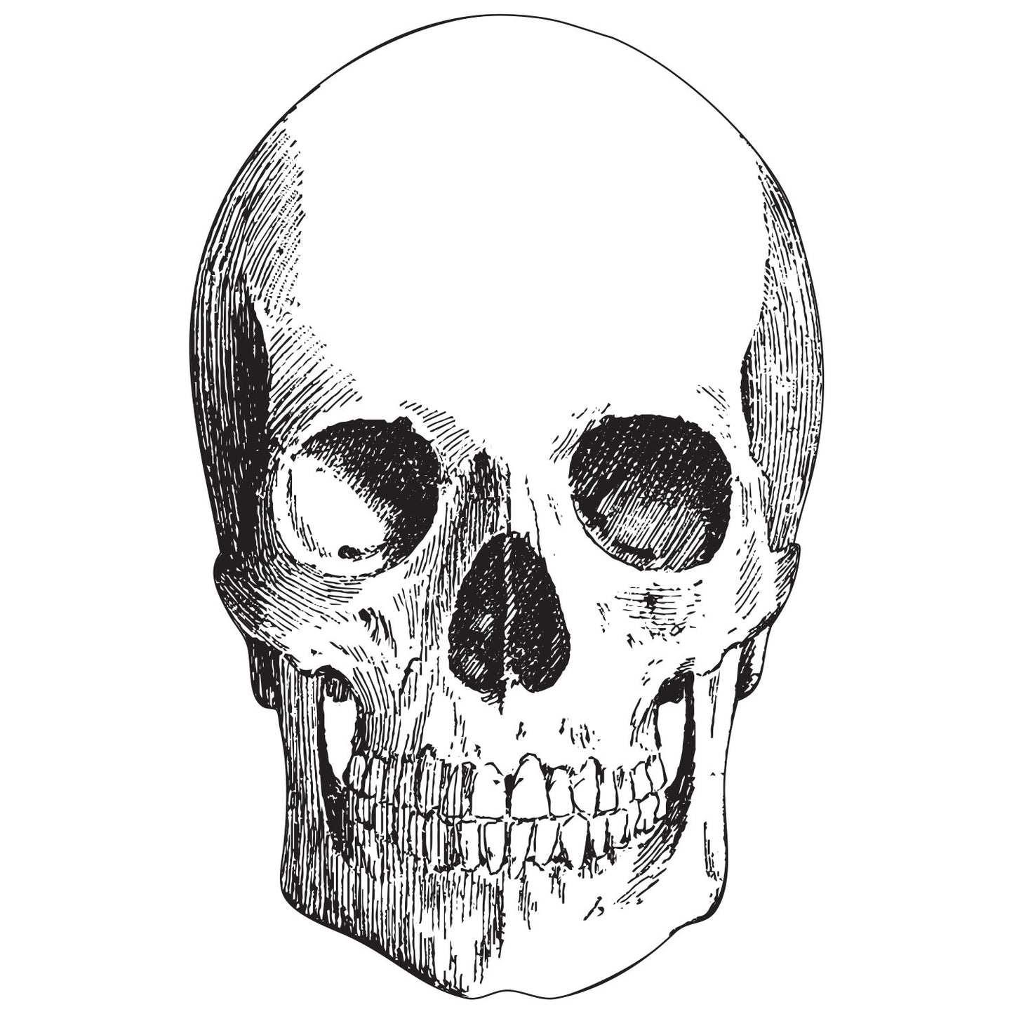 Paper Placemats - Skull (12 sheets)