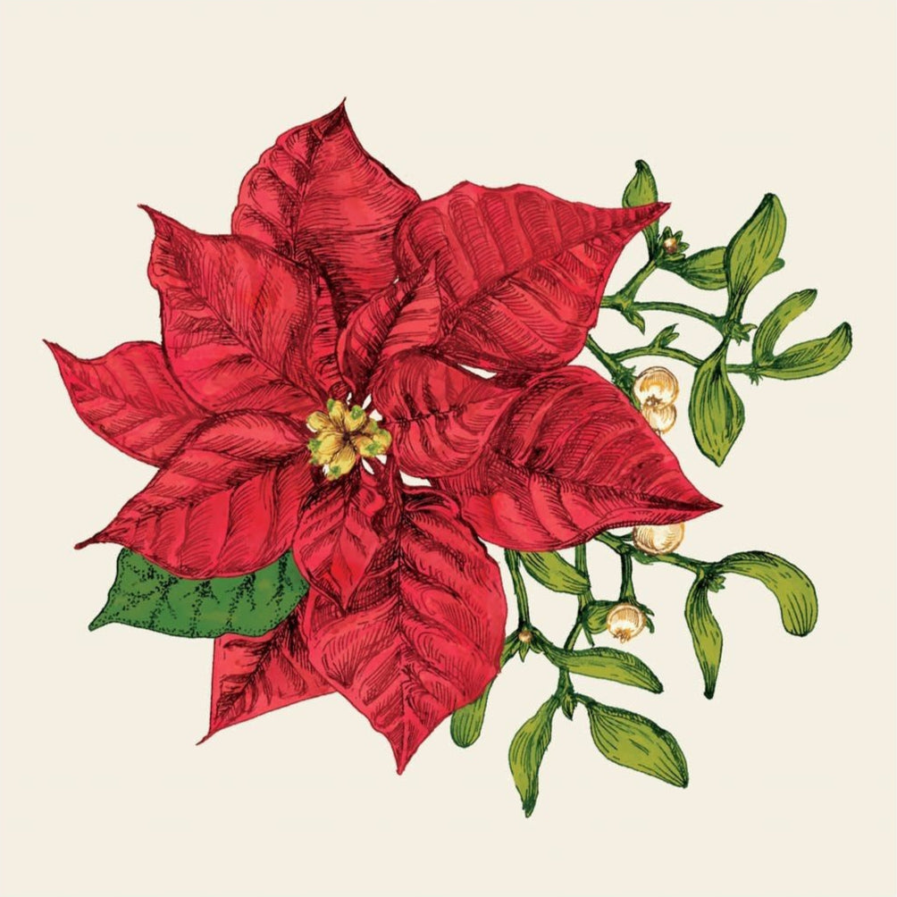 Paper Cocktail Napkins - Poinsettia