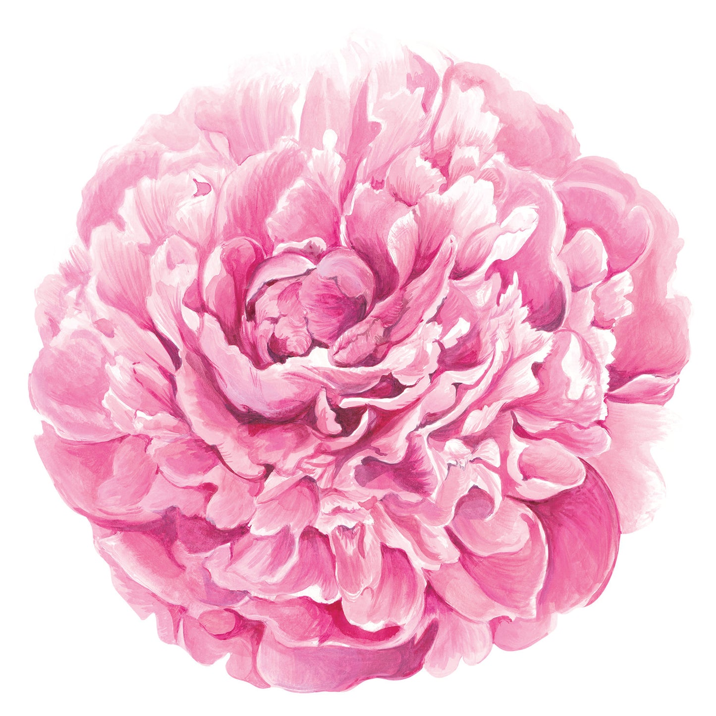 Paper Placemats - Peony (12 sheets)