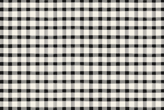 Paper Placemats - Painted Check Black (24 sheets)