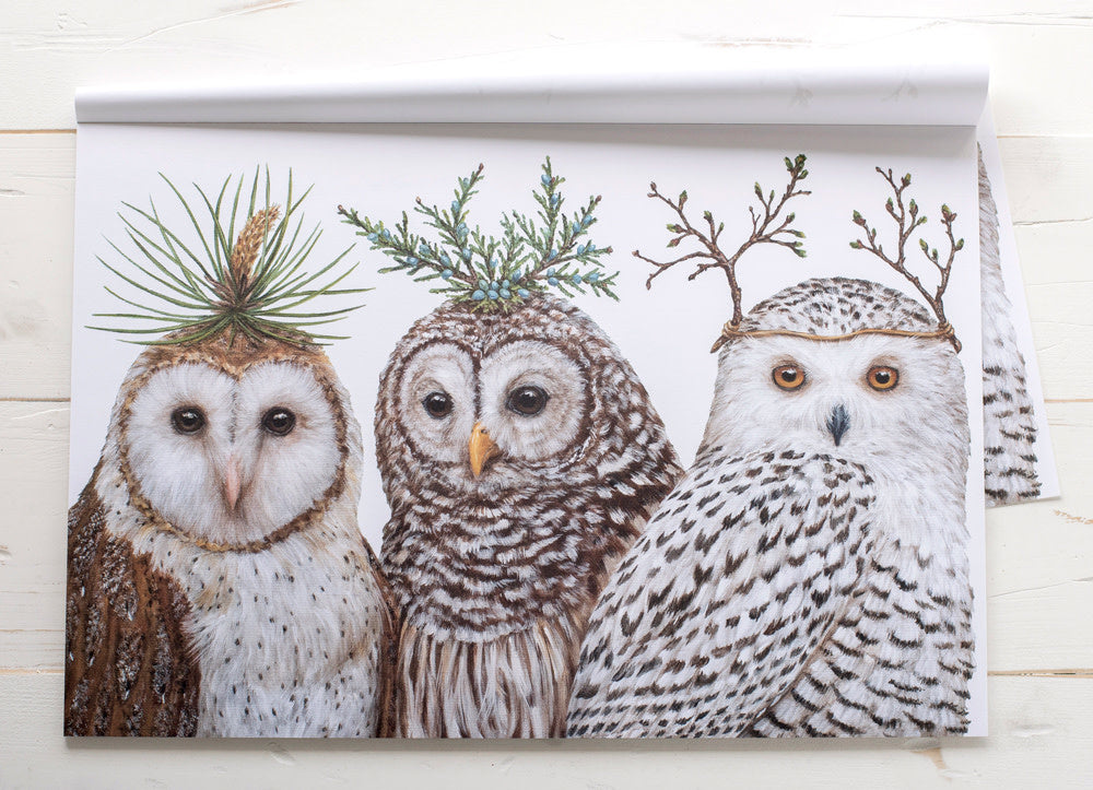 Paper Placemats - Winter Owls (24 sheets)