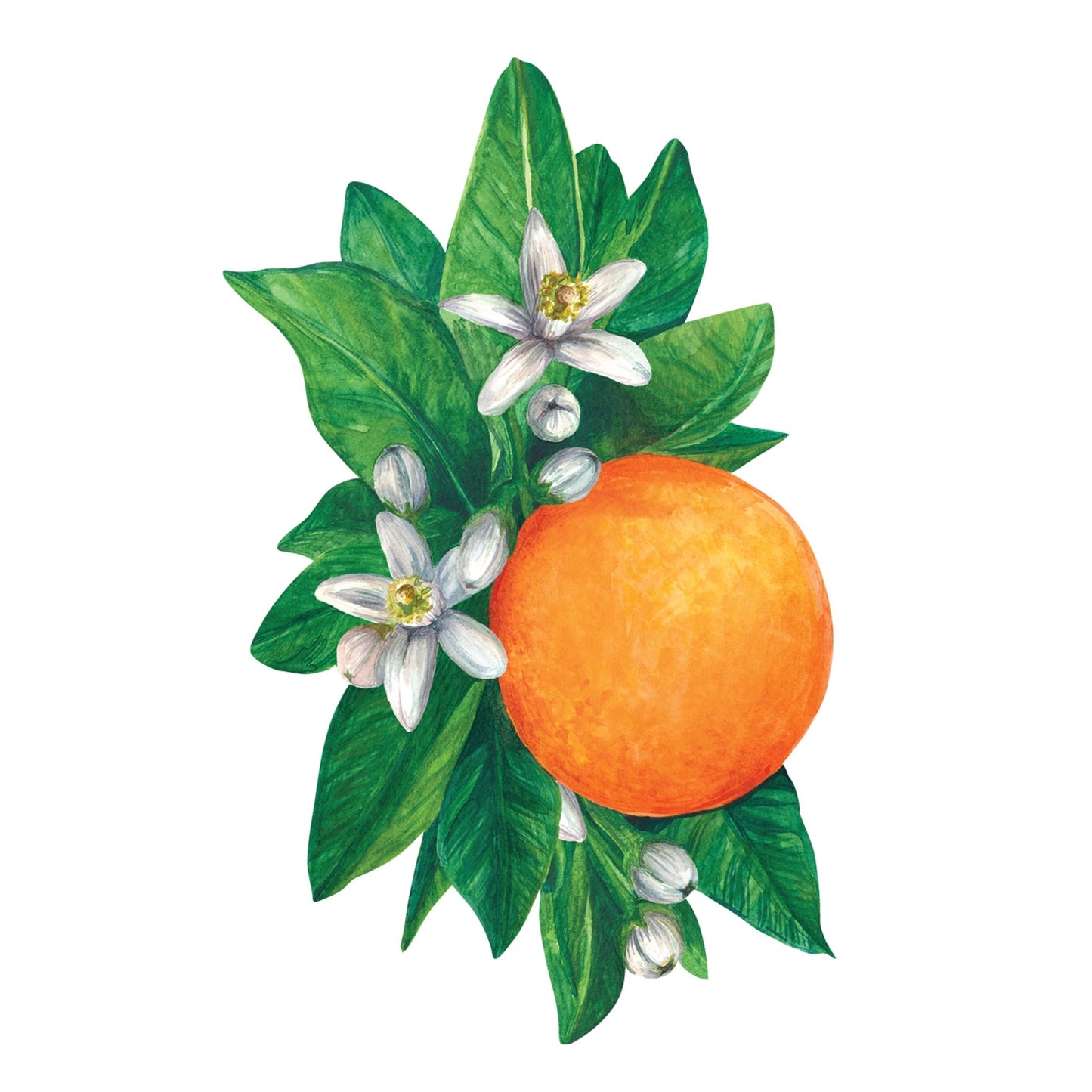 Table Accents - Orange Blossom (pack of 12)
