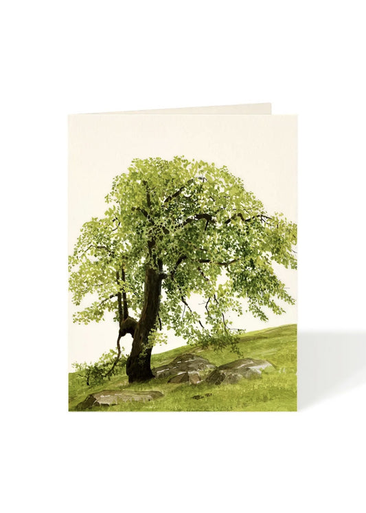 Card - Everyday - Oak Hill