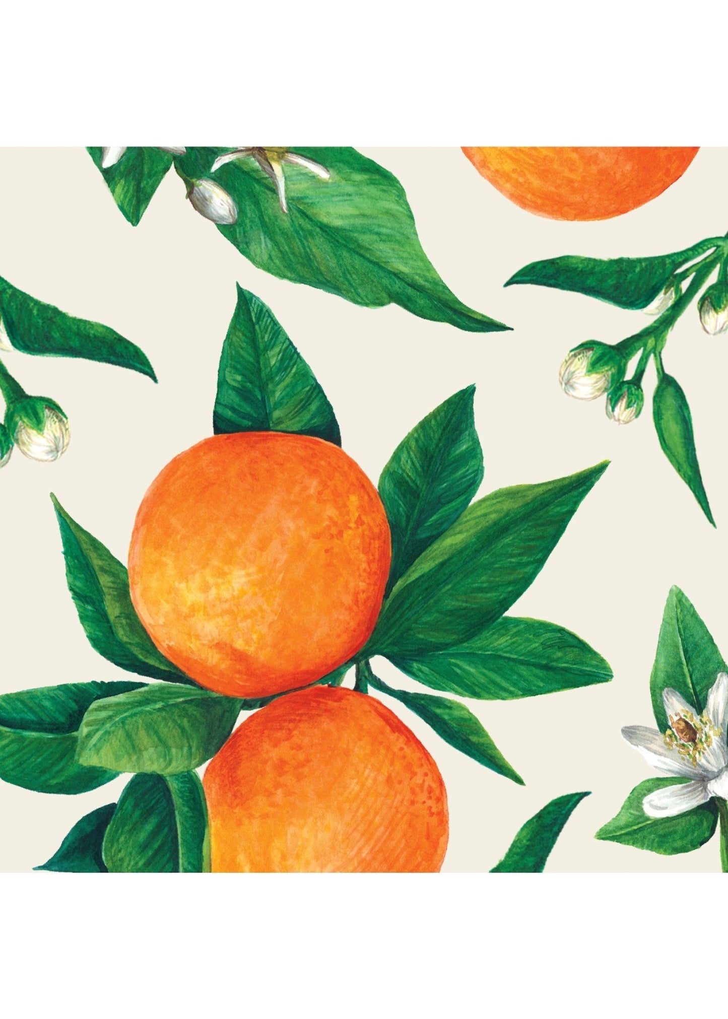 Paper Cocktail Napkins - Orange Orchard