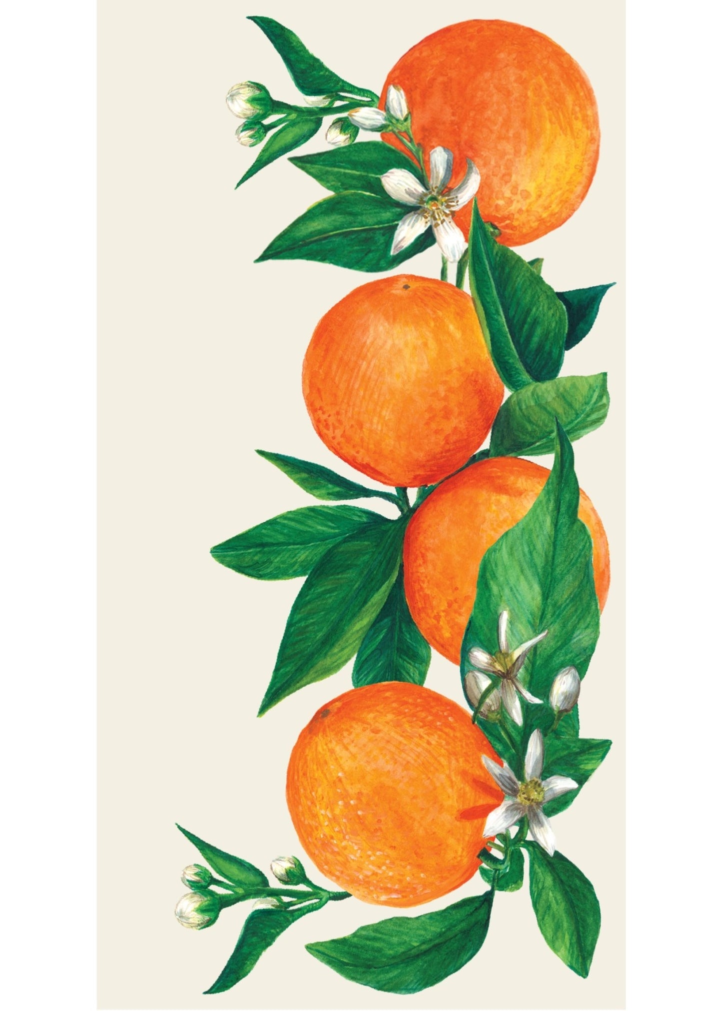 Paper Guest Napkins - Orange Orchard (pack of 16)