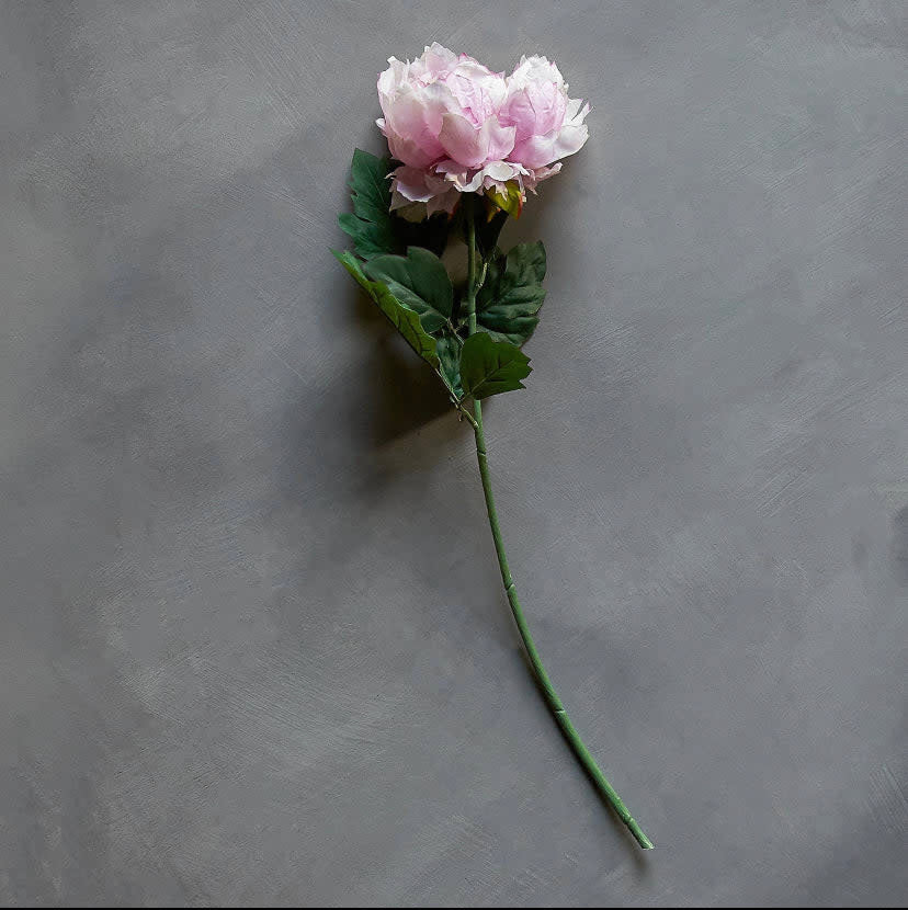 Floral Stem - Peony Rouge 24"