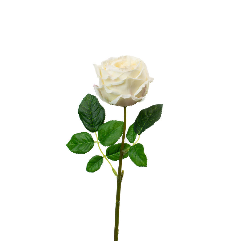 Floral Stem - English Rose Champagne 17"