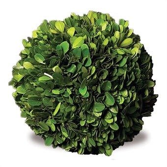 Boxwood Topiary - Preserved Ball 10"