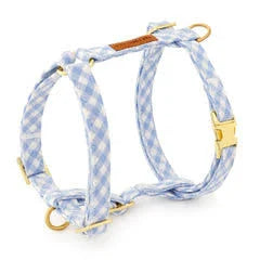 Sky Blue Gingham Spring Dog Harness