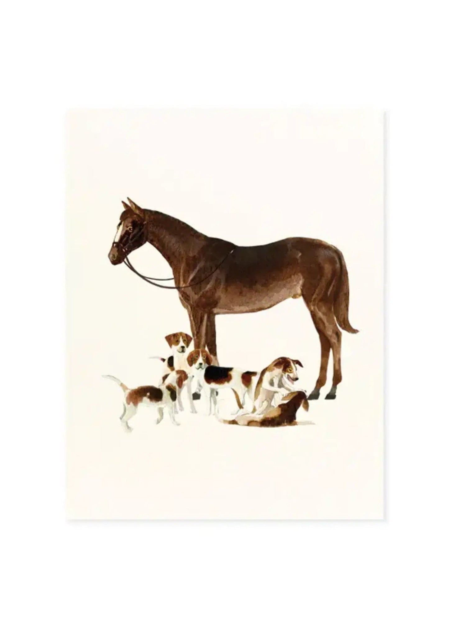 Card - Everyday - Spring and Beagles