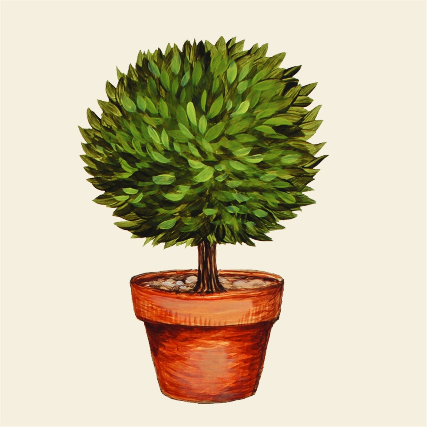 Paper Cocktail Napkins - Topiary